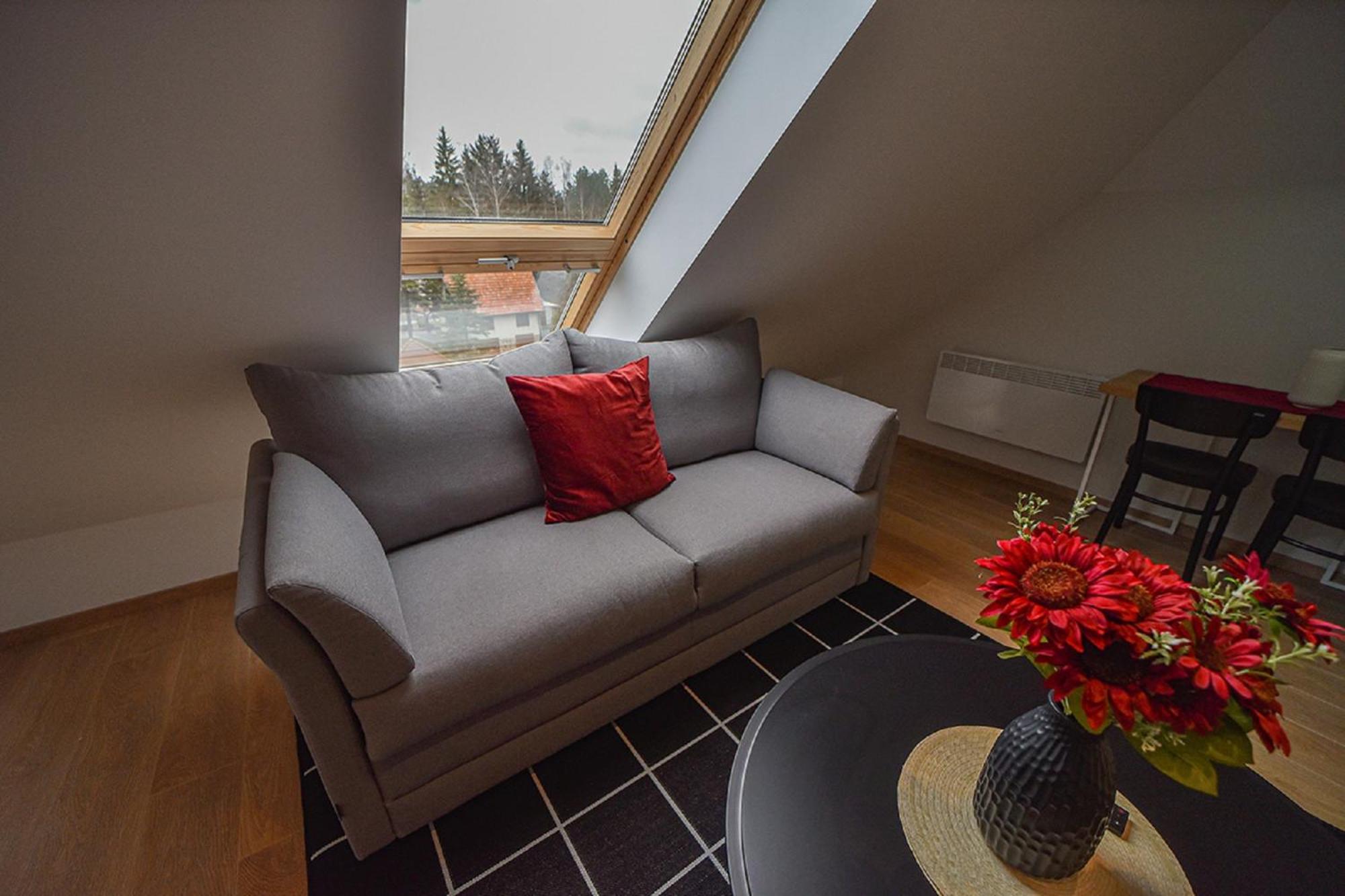 Aparthotel Beli Bor Zlatibor Exteriér fotografie