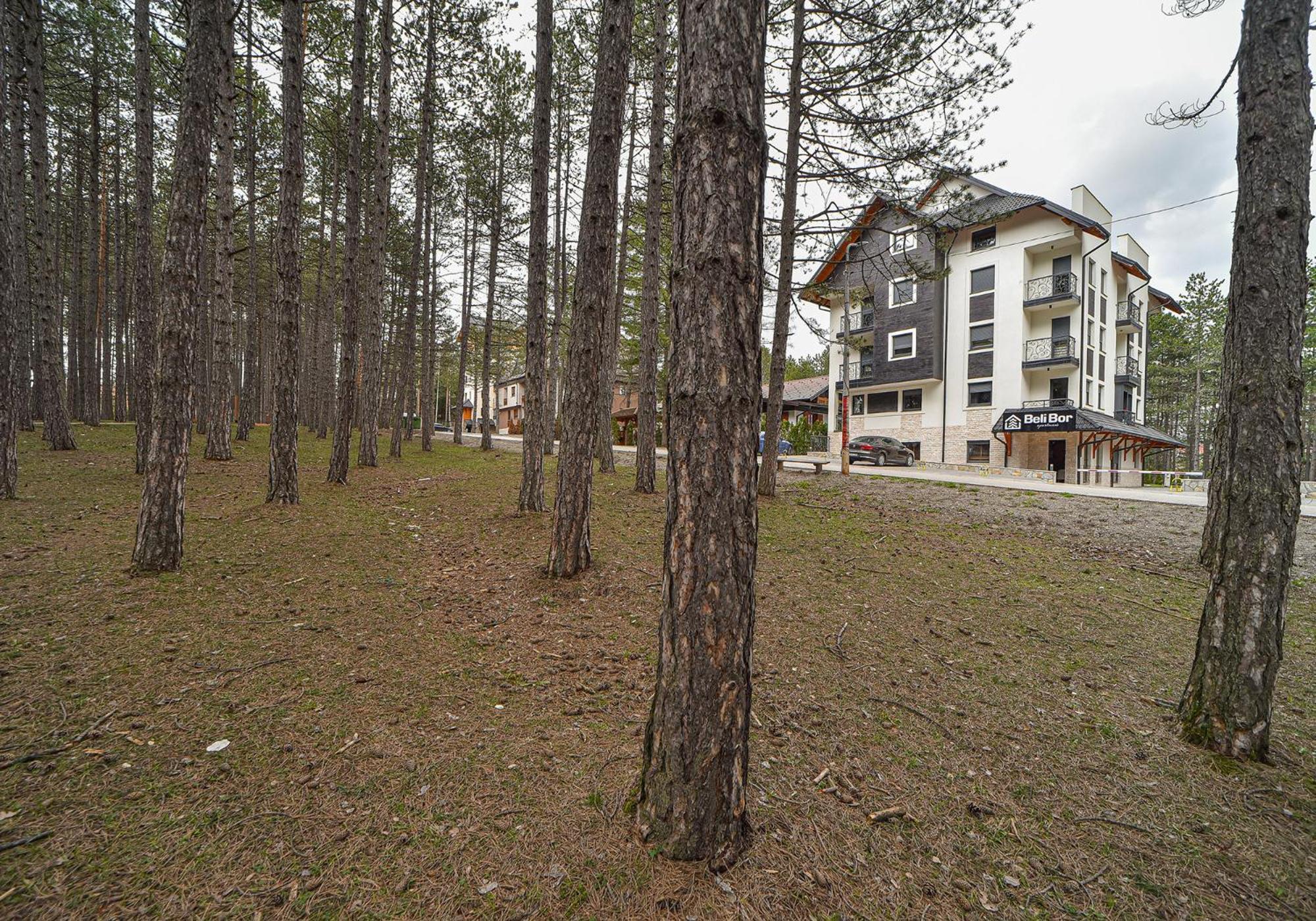 Aparthotel Beli Bor Zlatibor Exteriér fotografie